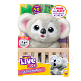 Little Live Pets My Baby Koala Kiki Plush – Nurturing Pretend Pet for Mindful Wind-Down Routines