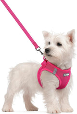 rabbitgoo Lightweight Toy Breed Harness Gift – Practical Pet Parent Present with Reflective Safety Bands, Seven Size Tiers From XXXS to XXL