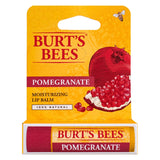 Burt's Bees Beeswax Lip Balm – Outdoor Dining and Travel Day Lip Protection, TSA Approved