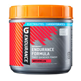 Gatorade Endurance Formula Powder – 2 lb Container for Endurance Studios, Team Rooms, and Home Gym Setups