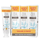 Burt's Bees Natural Toothpaste – Minimalist Fluoride-Free Zen Peppermint Tube for Effortless Neutral-Toned Bathroom Styling