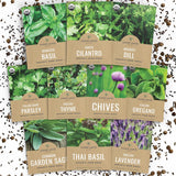 Organic Herb Seeds Variety Pack – Outdoor Patio and Backyard Garden, 10 Culinary Herbs for Raised Beds and Planters