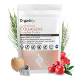 Organixx Clean Sourced Collagen Peptides – Premium Aging Support Gift for Wife, Clean Sourced Multi Collagen Stick Packs