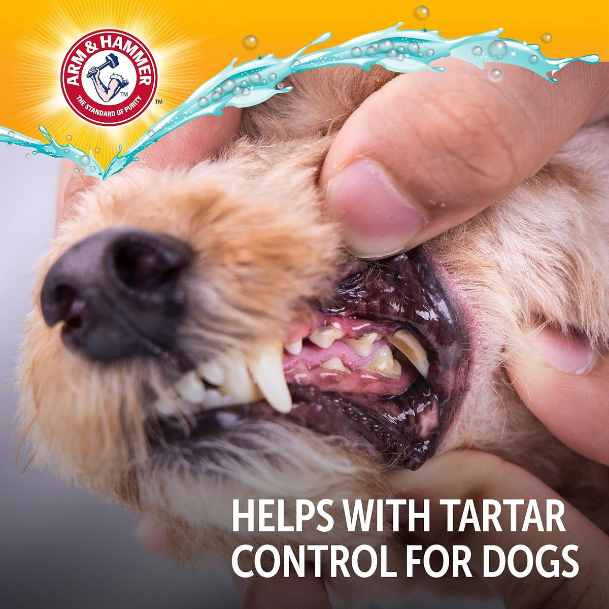 Arm & Hammer Complete Care Dog Dental Water Additive – Gentle Dental Support for Picky, Brushing-Resistant Dogs, 16 Fl Oz