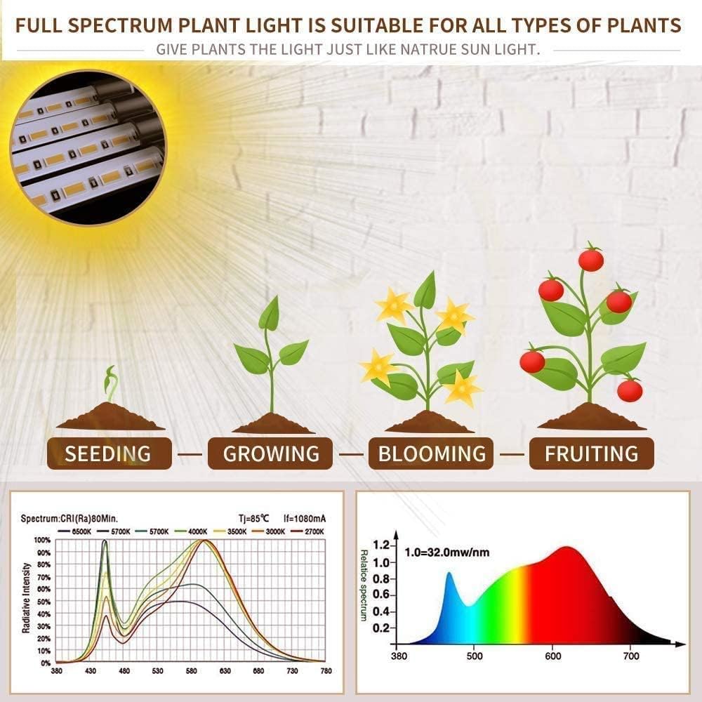 10 dimmable brightness levels with 3 switch modes