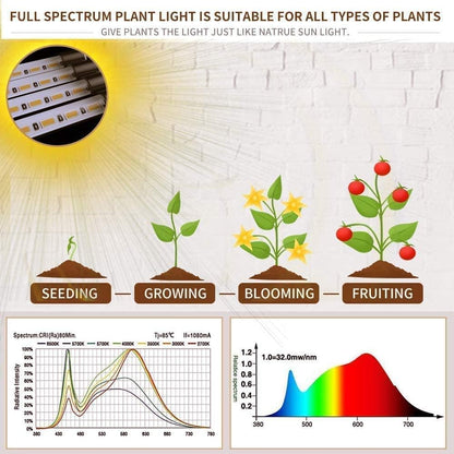 10 dimmable brightness levels with 3 switch modes