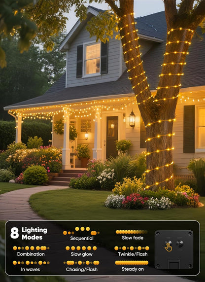 100 or 200 led count over a 39 ft flexible rope with nearly invisible wire