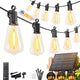 Black - 202FT(65 Sockets)