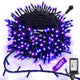 Puple - 300LED