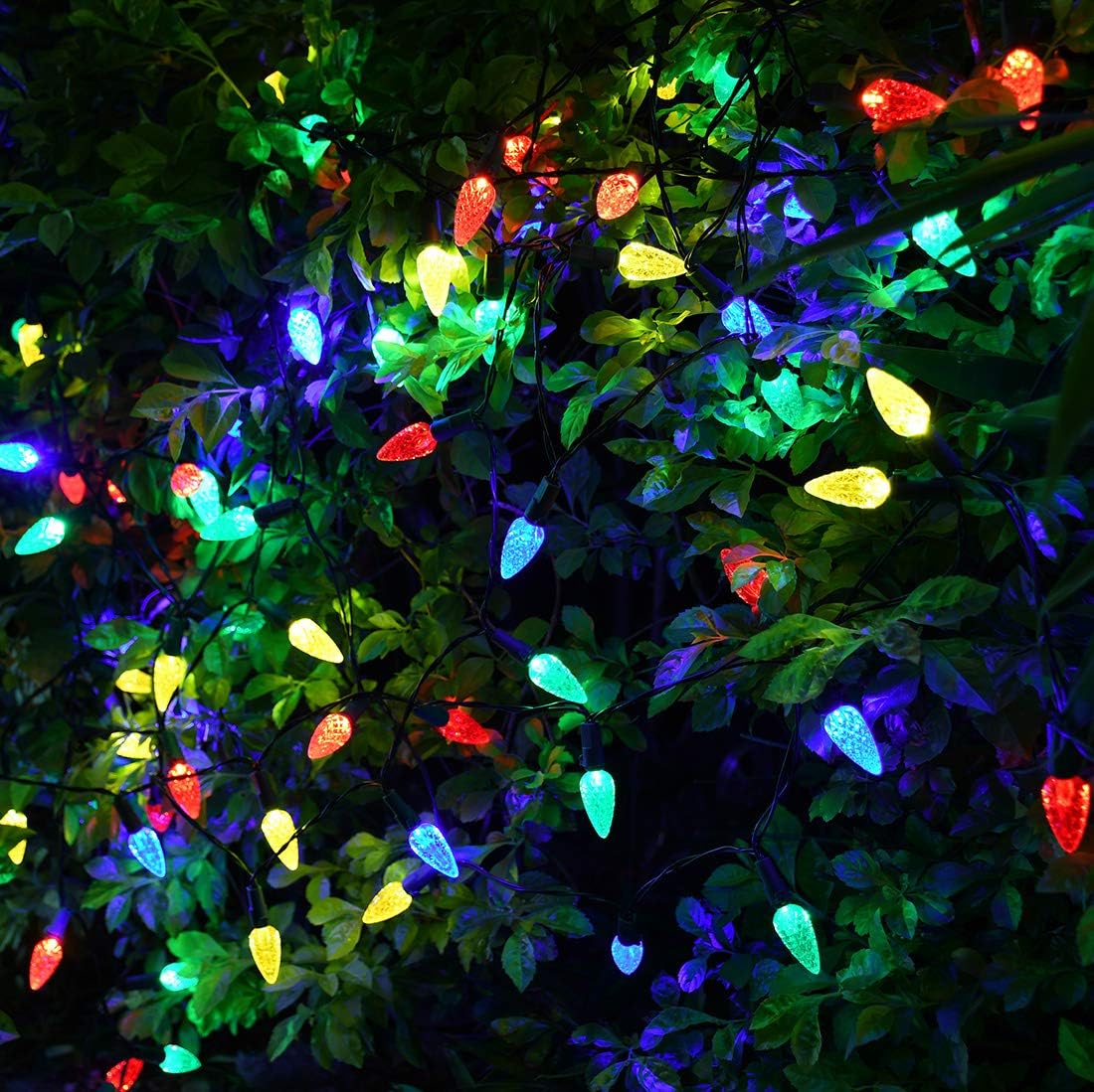 2-pack configuration and 50/100-led size options plus yellow/purple/green colorway across the product line