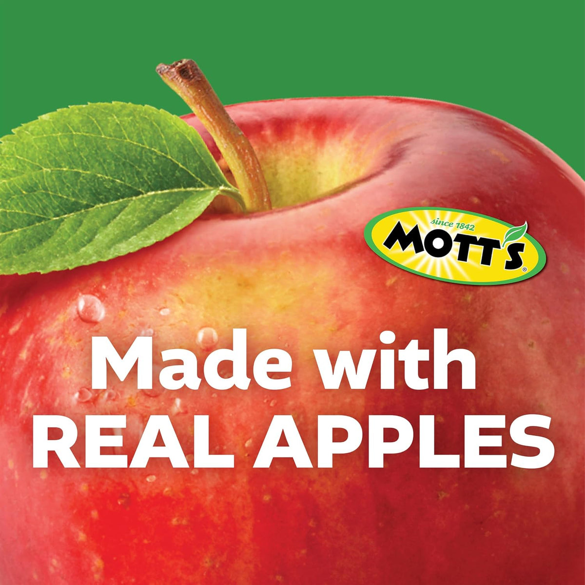 Mott's Real Fruit Snack Pack – Convenient Lunch Bag Addition for Busy Professionals and Remote Workers, 20 Pouches