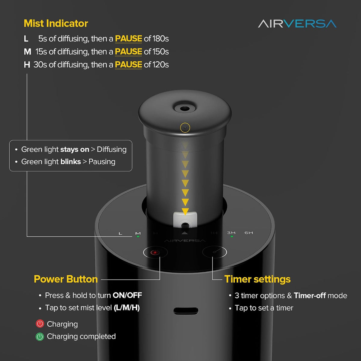 20 ml capacity compatible with standard 5/10/15/20 ml retail essential oil bottles — no decanting required