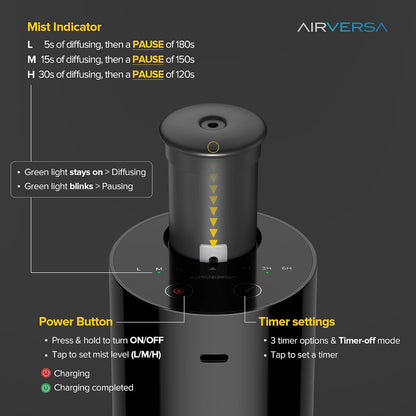 20 ml capacity compatible with standard 5/10/15/20 ml retail essential oil bottles — no decanting required