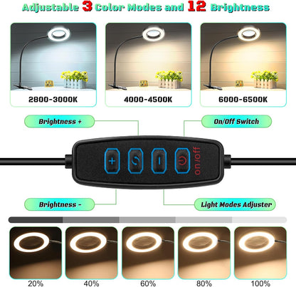 3 color light modes (white, white&warm, warm) with 12 dimmable brightness levels (10%-100%)