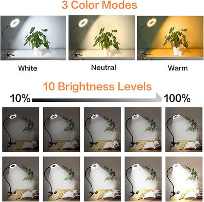 3 light modes (cool white, warm white, natural white) with 10 dimmable brightness levels from 10% to 100%
