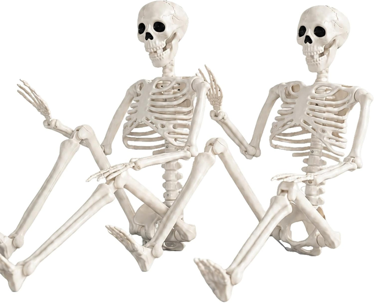 36-inch full body size with realistic bone-detail surface and matte textured finish