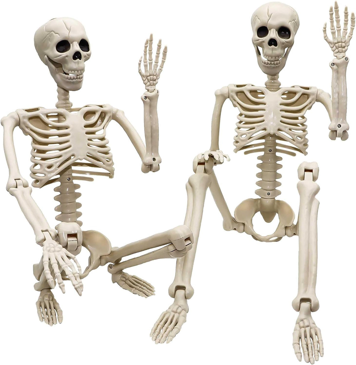 36-inch life-size human skeleton dimensions