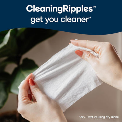 42-wipe standard and 45-wipe x-large sheet sizes across 14 sku variants