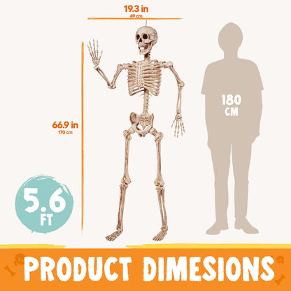 JOYIN Life Size Halloween Skeleton for Front Porch and Living Room Atmosphere, 67 Inch Posable Full Body Bones with Aging Texture for Elevated Home Decor