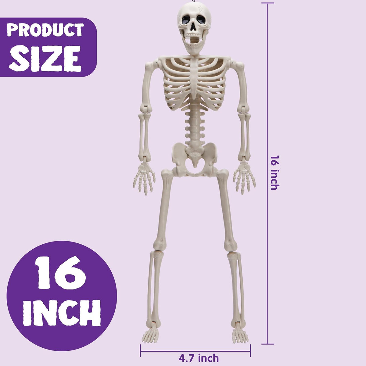 JOYIN 5-Pack Posable Skeleton Decor – 16 Inch Realistic Bone Figures for Living Room Shelves, Staircase Displays, and Hallway Ambiance