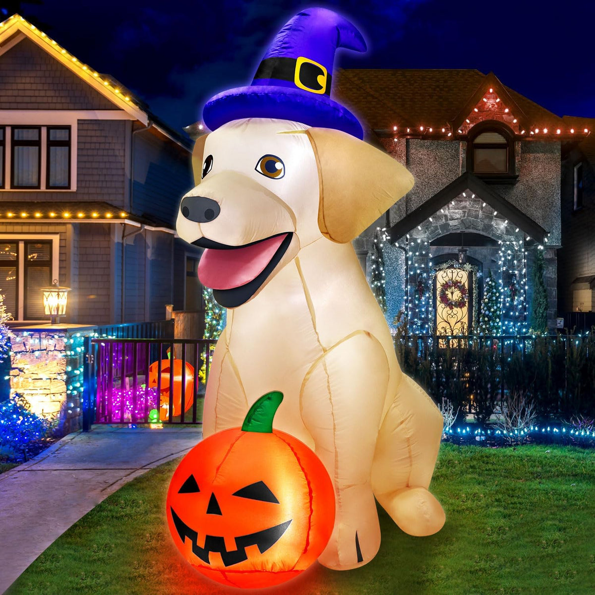 5ft lifelike labrador inflatable wearing a witch hat and holding a pumpkin
