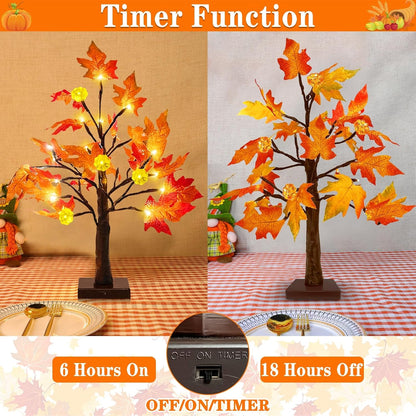 6-hour on / 18-hour off automatic timer switch on the base