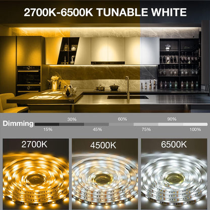 6 preset color temperatures from 2700k warm white to 6500k daylight, dimmable