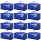 Bluek - 12Pack