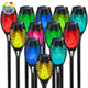 12Pack - Multicolor