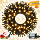 Warm White - 100 LED