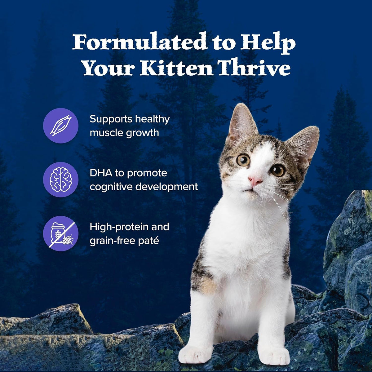 added dha from salmon oil, omega 3 and 6 fatty acids, essential amino acids, and taurine