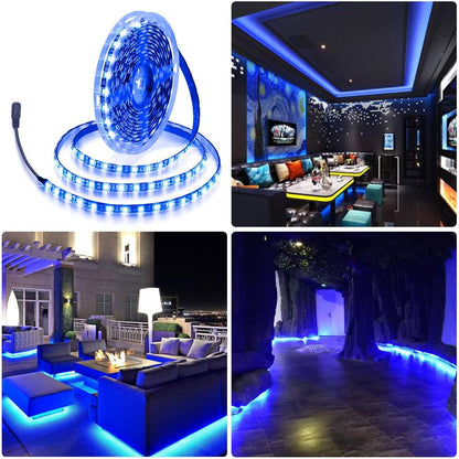 ALITOVE Simple Blue LED Light Strip for Intentional Display Case Lighting, 16.4ft 12V Neutral Glow