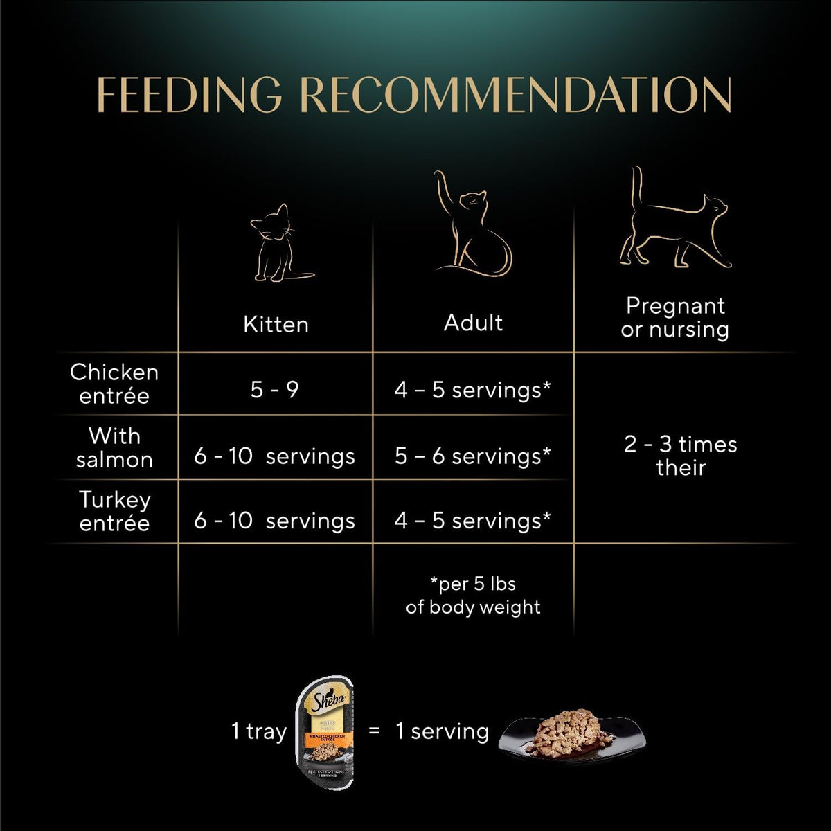 all-breed-size recommendation for adult maintenance feeding