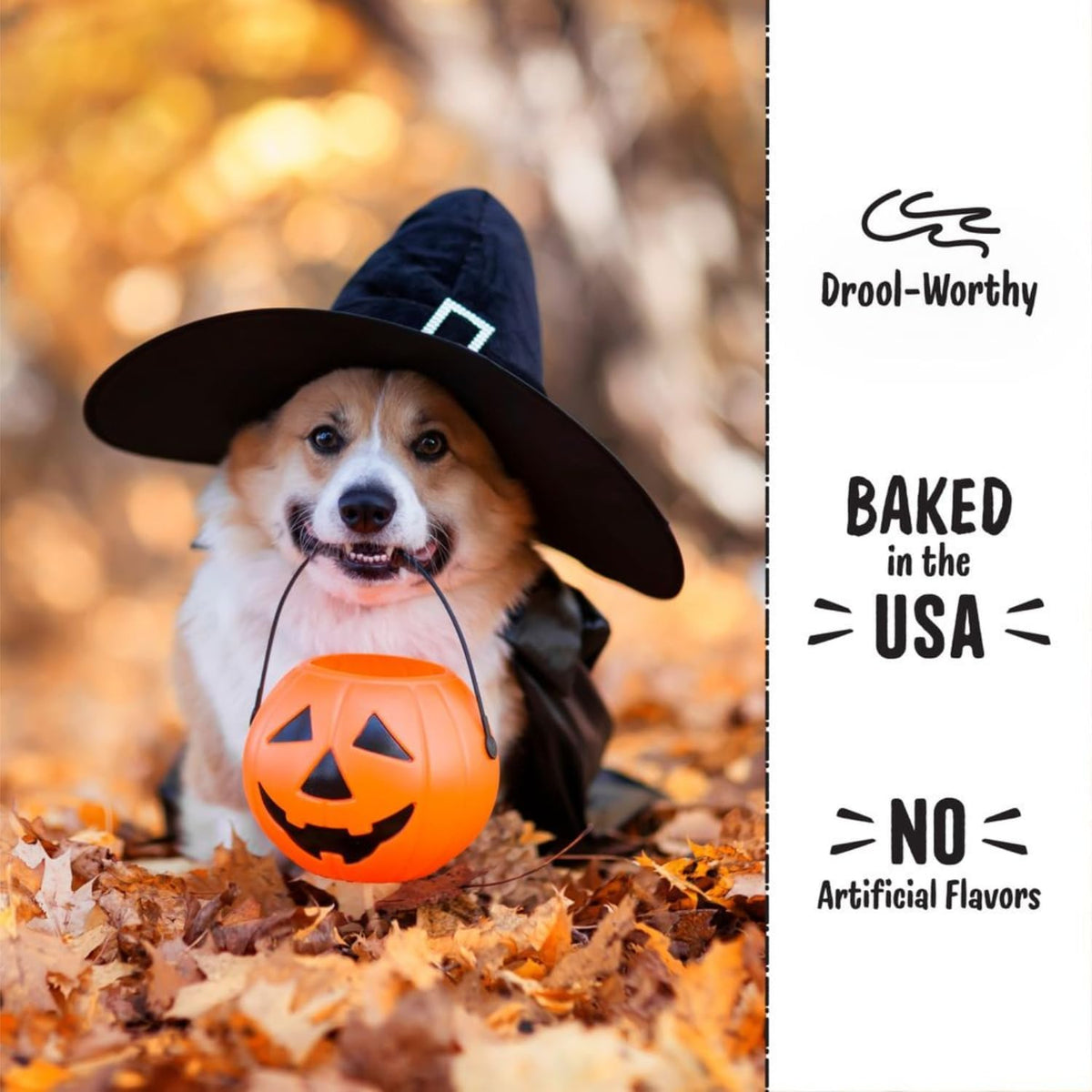 allergen-free formulation suitable for dogs of all breeds and life stages