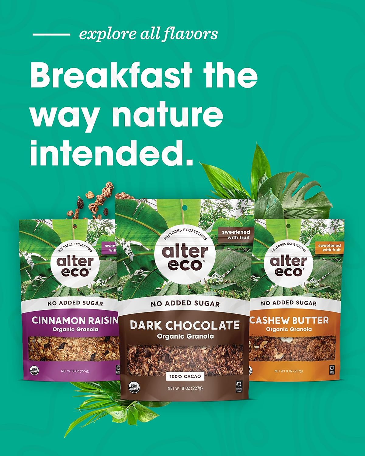 Alter Eco Cashew Granola – Mother's Day Organic Snack Gift for Mindful and Busy Moms