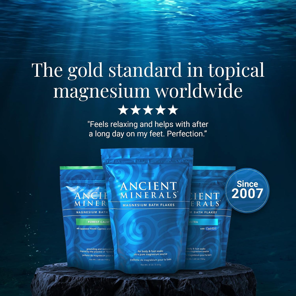 Ancient Minerals Magnesium Bath Flakes – Sophisticated Magnesium Soak Inspired by Ancient Seabed Purity, 8 lb Pouch