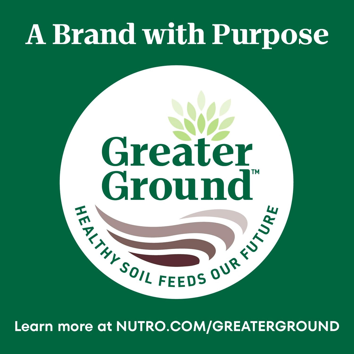 Nutro Wholesome Essentials Indoor Adult Dry Cat Food Chicken & Rice, Balanced Nutrition for Adult Cats