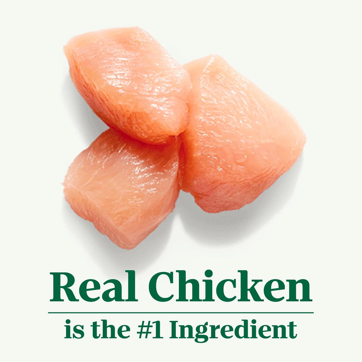 antioxidants such as vitamin e and selenium to support healthy immunity
