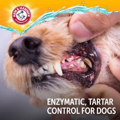 Arm & Hammer Complete Care Enzymatic Dog Toothpaste – Pet Wellness Ritual for Daily Plaque Control, 6.2 Oz