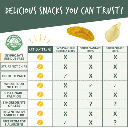 ARTISAN TROPIC Vegan Plantain Chips - Magnesium and Potassium Rich Snack for Mindful Eating