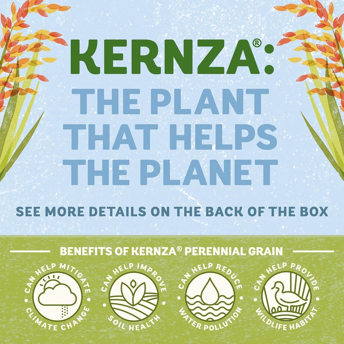 at least 1% kernza perennial grain for climate-positive sourcing