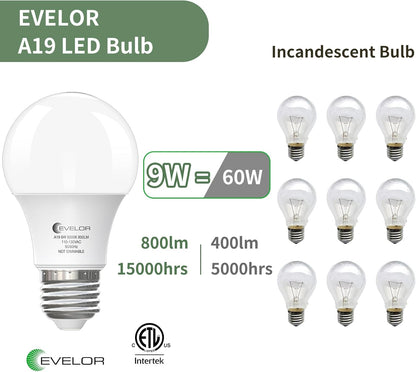 available in 2700k soft white and 5000k daylight color temperatures