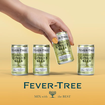 available in ginger beer and ginger ale varieties across multiple pack sizes (8-can, 24-can, and large 150–200 fl oz bottles)