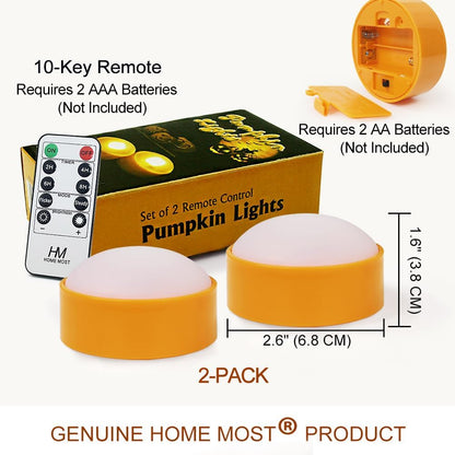 available in pack of 2 (orange), pack of 4 (orange), and big white body for larger pumpkins