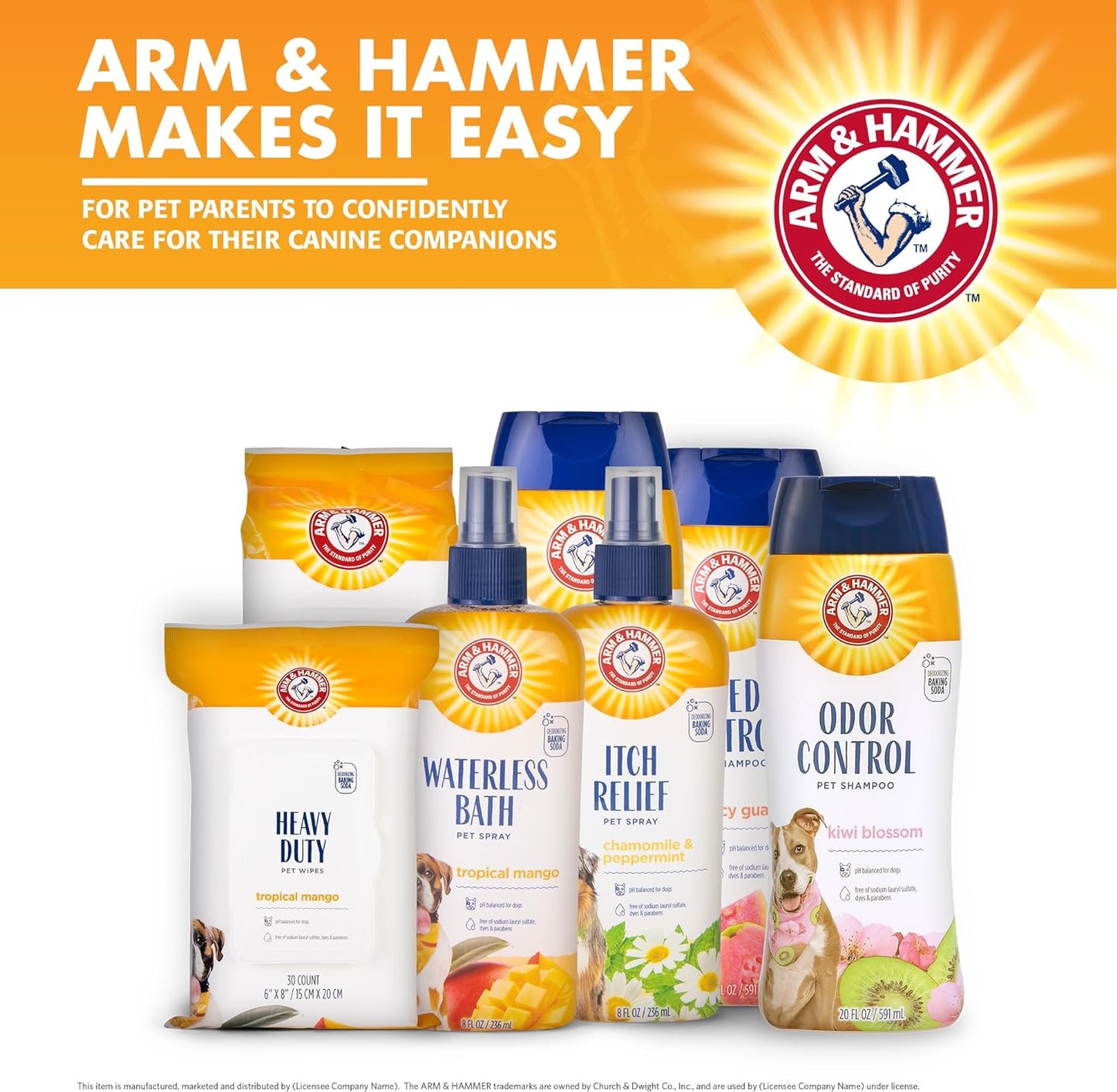 available in spray (8 fl oz) and foam (8 fl oz, 16 fl oz) formats with kiwi blossom or blueberry coconut scents