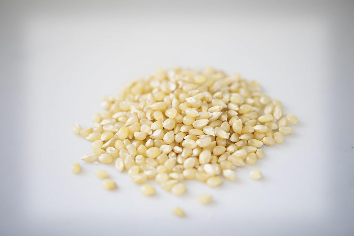 baby white popcorn kernels described as small, tender, gourmet, and old fashioned