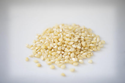 baby white popcorn kernels described as small, tender, gourmet, and old fashioned