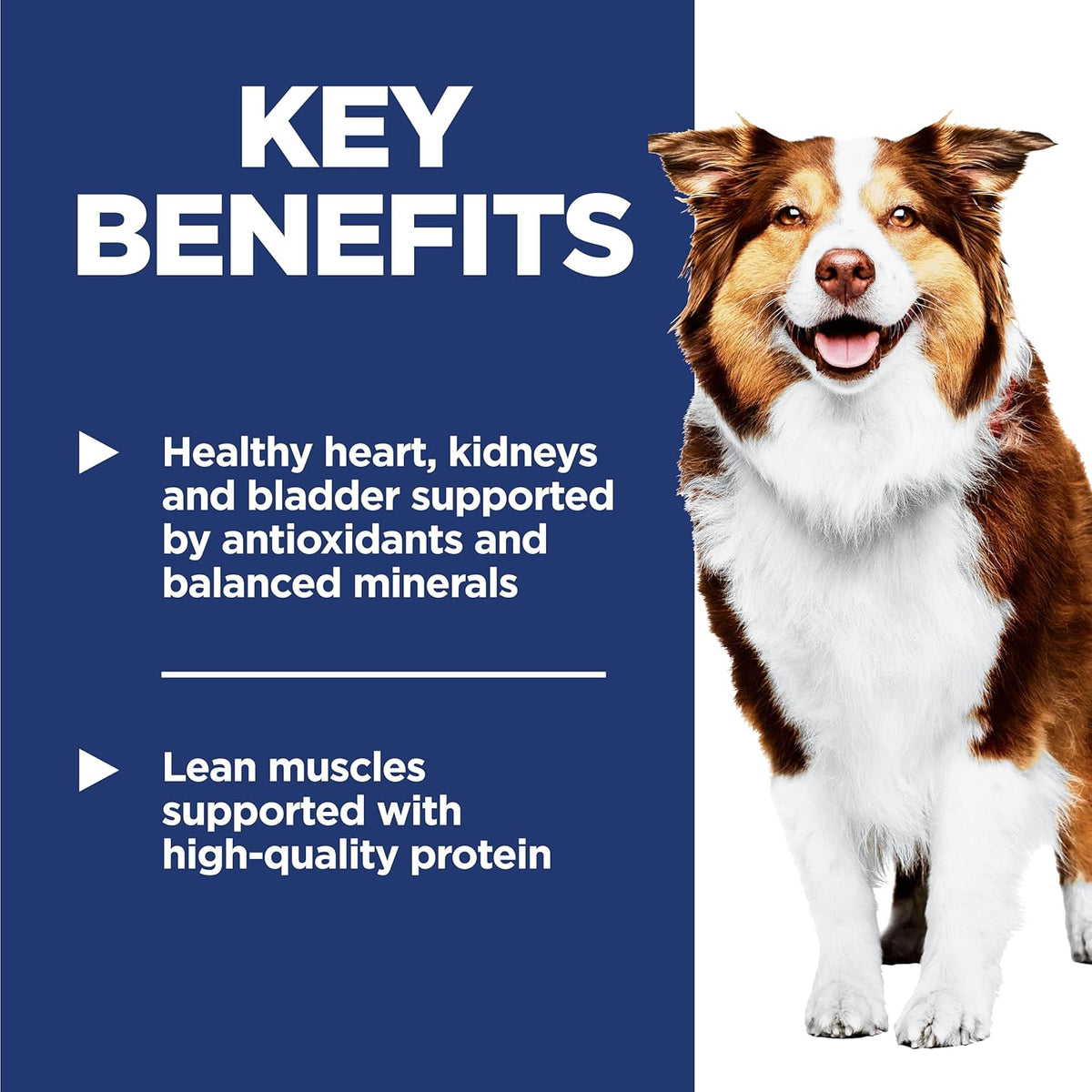 balanced minerals formulated to support heart, kidney, and bladder health