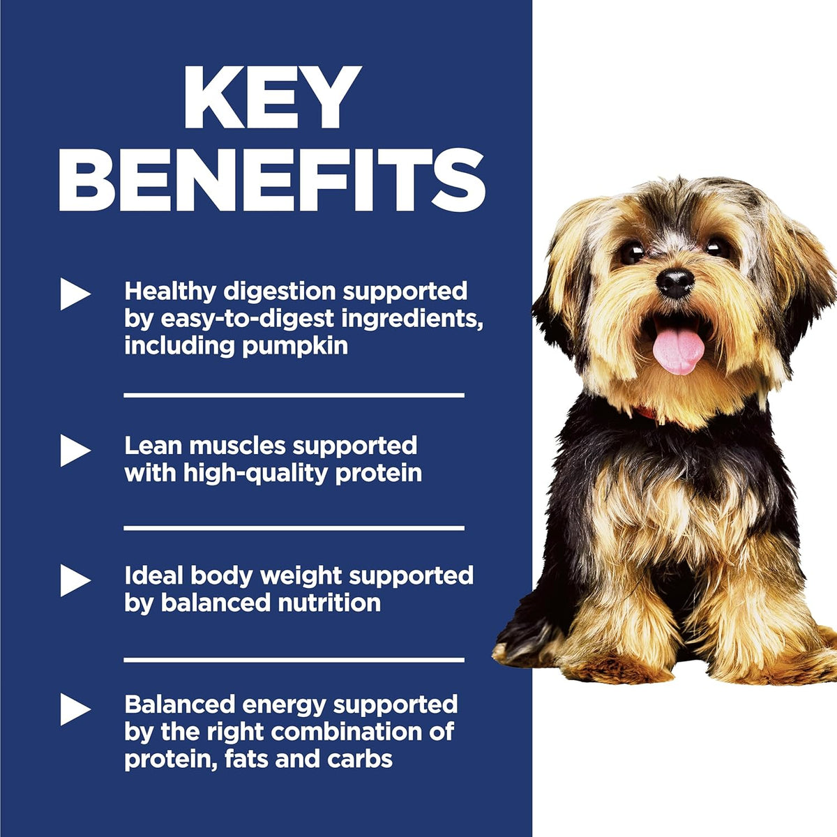 balanced protein-fat-carb ratio calibrated for small breed energy needs and ideal body weight