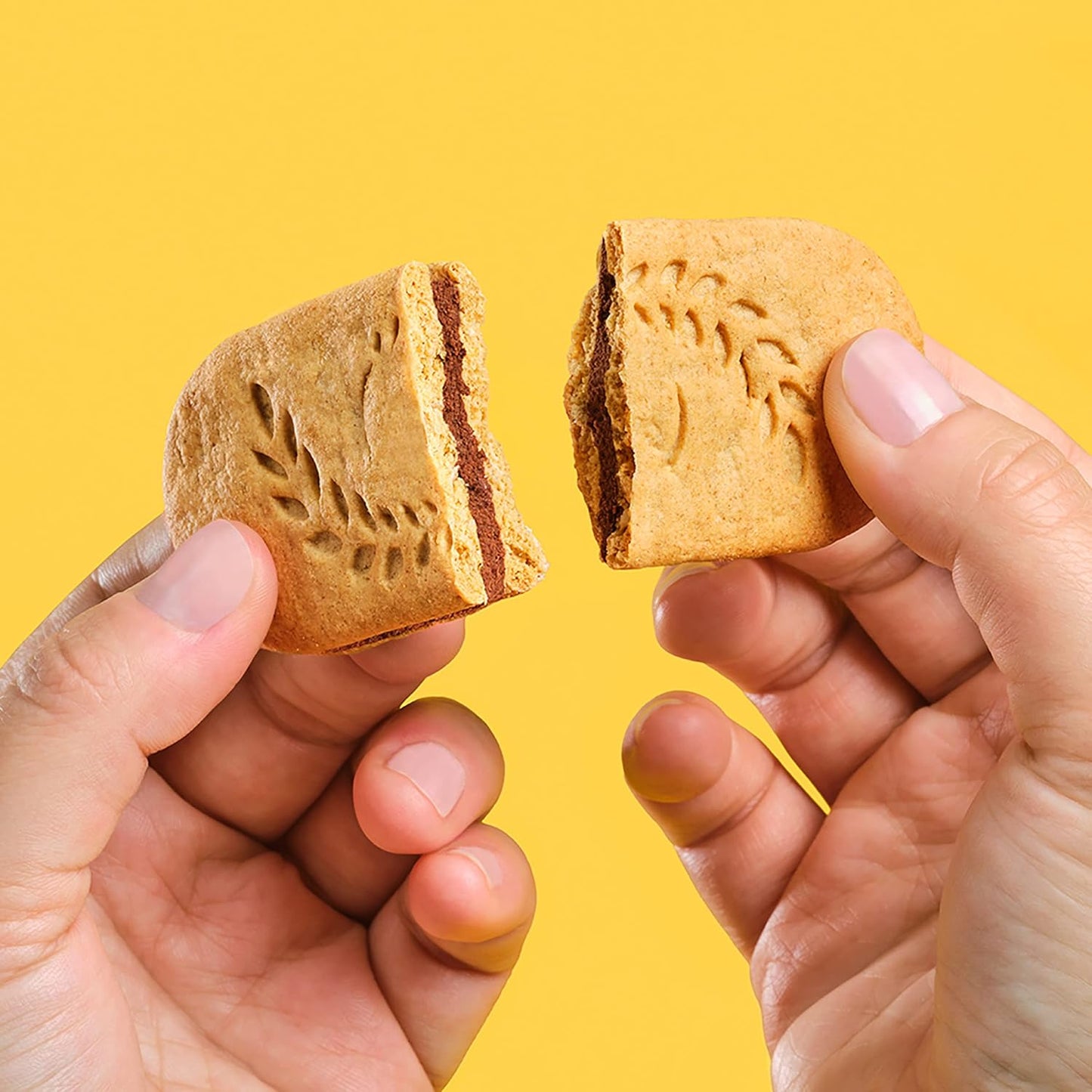 belVita Whole-Grain Breakfast Bars – Pantry Staple for Family Mornings and Lunch Boxes, 12-Pack